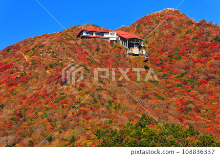 [Nagasaki Prefecture] Autumn leaves at Unzen Nita Pass on a clear day (Unzen Ropeway) 108836337