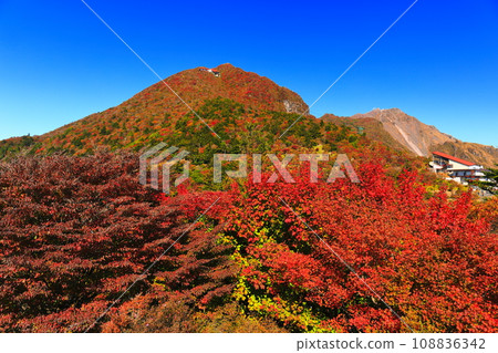[長崎縣]晴天雲仙二田嶺的紅葉（雲仙纜車） 108836342