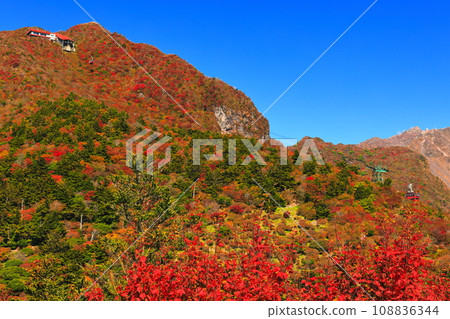 [長崎縣]晴天雲仙二田嶺的紅葉（雲仙纜車） 108836344