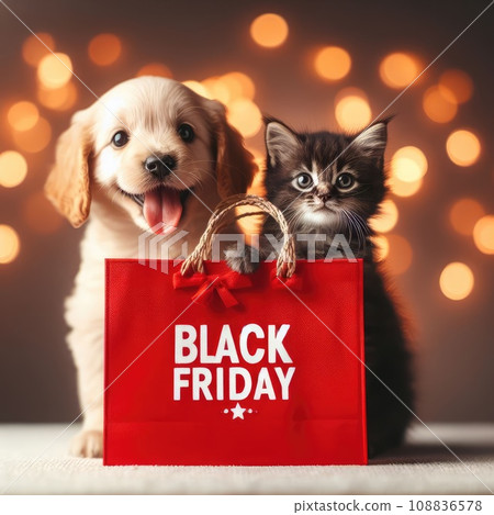 Pug puppy hugs kitten and holds shopping bag with black friday text. isolated on white background Pug puppy hugs kitten and holds shopping bag with black friday text. isolated on white background 108836578