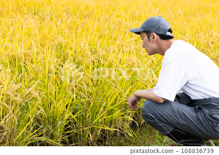 一個清爽的男人站在稻田裡 108836739