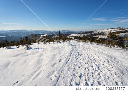 Snowy path at Silesian Beskid near European Szczyrk town in Poland 108837157
