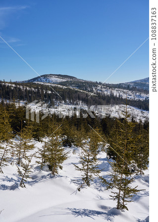 Winter at Silesian Beskid on european Bialy Krzyz in Poland Winter at Silesian Beskid on european Bialy Krzyz in Poland 108837163