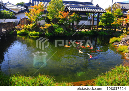 [長崎縣] 陽光明媚的島原清流亭（鯉魚游泳城觀光交流中心） 108837524