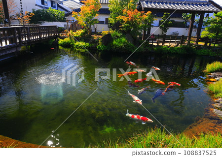 [長崎縣] 陽光明媚的島原清流亭（鯉魚游泳城觀光交流中心） 108837525