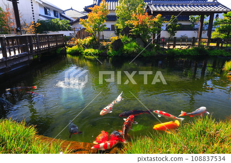 [長崎縣] 陽光明媚的島原清流亭（鯉魚游泳城觀光交流中心） 108837534
