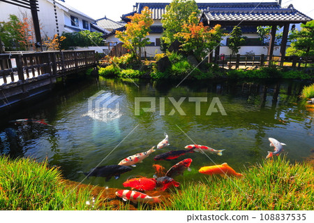 [長崎縣] 陽光明媚的島原清流亭（鯉魚游泳城觀光交流中心） 108837535