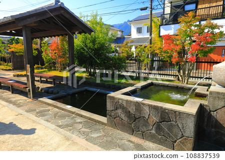 [Nagasaki Prefecture] Sunny Shimabara Seiryutei (Carp Swimming Town Tourism Exchange Center) 108837539