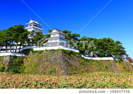 [長崎縣] 島原城天守閣的晴空（修復後） 108837556
