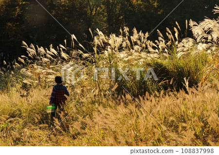 潘帕斯草原的秋景和夕陽下捕捉昆蟲的男孩 108837998