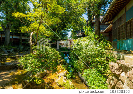 新潟縣新垣市家庭住所椿 108838393