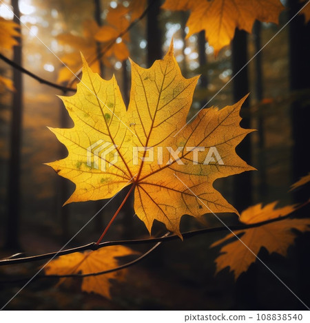 A close-up of a red maple leaf with veins and spots, detaching from a branch with other green leaves A close-up of a red maple leaf with veins and spots, detaching from a branch with other green leaves 108838540