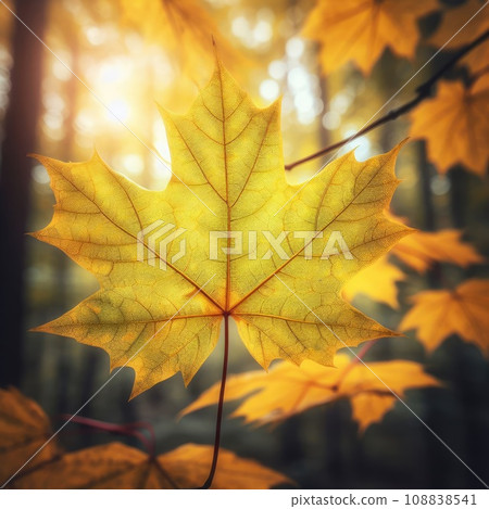 A close-up of a red maple leaf with veins and spots, detaching from a branch with other green leaves 108838541