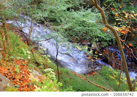Shiobara Valley Reminiscence Suspension Bridge - Gentle course/Nasu-Shiobara City, Tochigi Prefecture 108838742