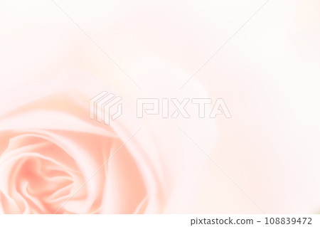 Rose/petal background material 108839472