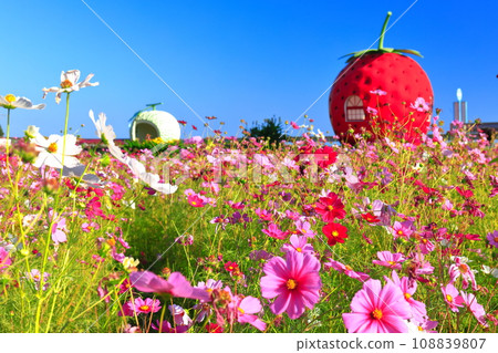 [長崎縣]草莓和哈密瓜水果巴士站（伊崎） 108839807