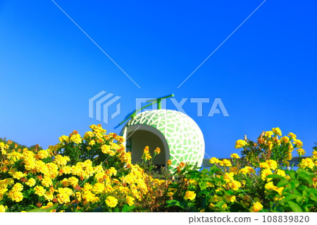 [Nagasaki Prefecture] Melon Fruit Bus Stop (Izaki) 108839820