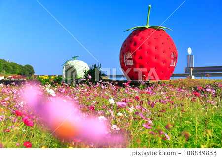 [Nagasaki Prefecture] Strawberry and Melon Fruit Bus Stop (Izaki) 108839833