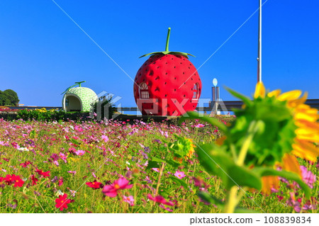 [Nagasaki Prefecture] Strawberry and Melon Fruit Bus Stop (Izaki) 108839834