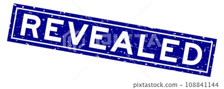 Grunge blue revealed word square rubber seal stamp on white background Grunge blue revealed word square rubber seal stamp on white background 108841144