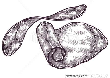 Hand drawn jamon. Gourmet meat. Isolated delicious engraving sketch. Dry cured farm natural product. Pork slices in black and white drawing. Vector restaurant menu element illustration 108843182