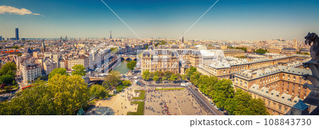 Aerial view of Paris from Notre Dam 108843730