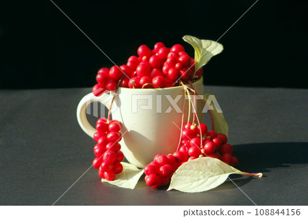 schizandra in the cup on the black 108844156