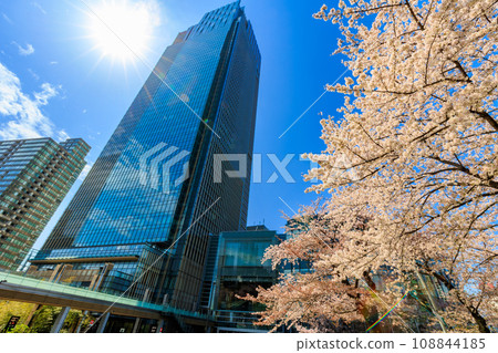 東京、港區、赤坂、東京中城和櫻花盛開 東京、港區、赤坂、東京中城和櫻花盛開 108844185