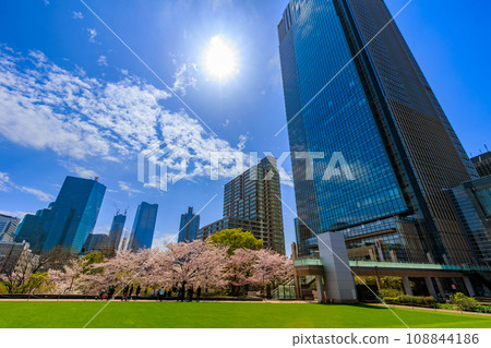 東京、港區、赤坂、東京中城和櫻花盛開 108844186