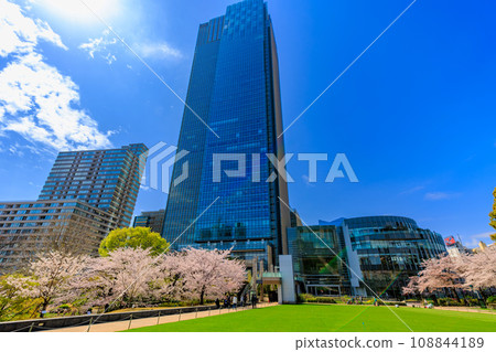 Tokyo, Minato-ku, Akasaka, Tokyo Midtown and cherry blossoms in full bloom Tokyo, Minato-ku, Akasaka, Tokyo Midtown and cherry blossoms in full bloom 108844189