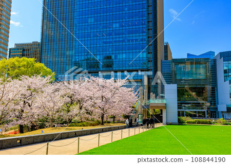 東京、港區、赤坂、東京中城和櫻花盛開 東京、港區、赤坂、東京中城和櫻花盛開 108844190