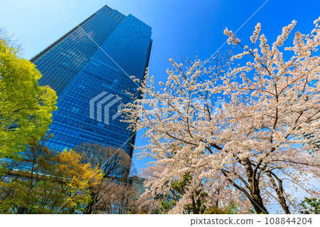 東京、港區、赤坂、東京中城和櫻花盛開 東京、港區、赤坂、東京中城和櫻花盛開 108844204