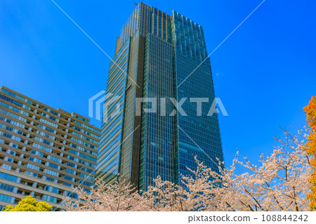 東京、港區、赤坂、東京中城和櫻花盛開 108844242