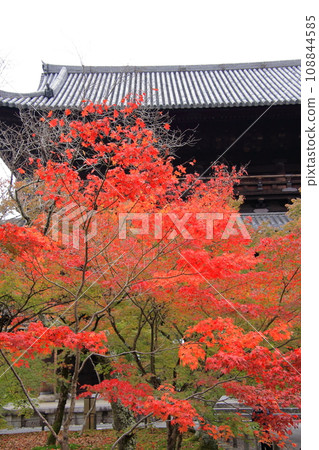 Autumn leaves in Kyoto, Nanzenji, Sanmon, Tenjuan, Suirokaku Autumn leaves in Kyoto, Nanzenji, Sanmon, Tenjuan, Suirokaku 108844585