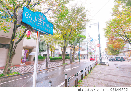 加爾維斯頓街在下雨天 108844832
