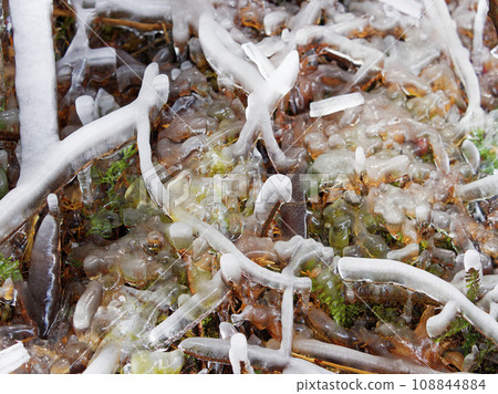 被冰困住的風景 108844884