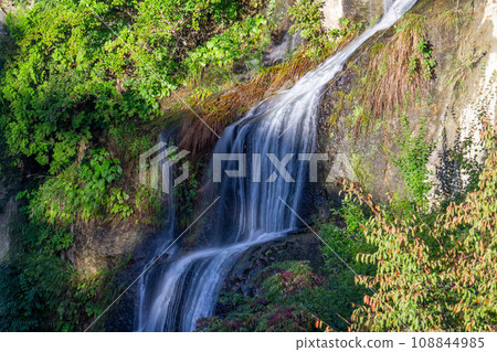 flowing wisteria waterfall flowing wisteria waterfall 108844985