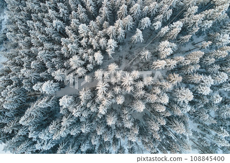 Top down aerial view of snow covered evergreen pine forest after heavy snowfall in winter mountain woods on cold quiet day. Top down aerial view of snow covered evergreen pine forest after heavy snowfall in winter mountain woods on cold quiet day. 108845400