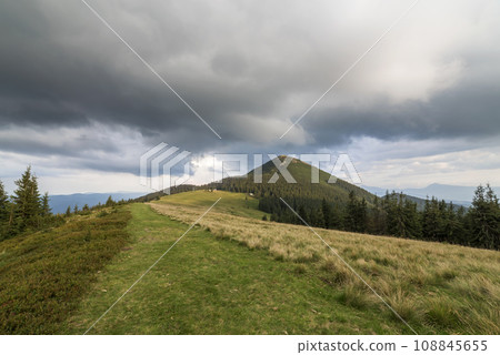 Panoramic summer view, green grassy valley on distant woody mountains background under cloudy sky. 108845655