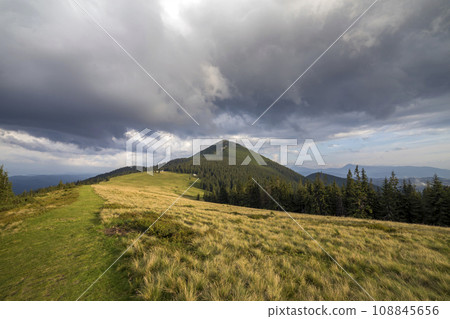 Panoramic summer view, green grassy valley on distant woody mountains background under cloudy sky. 108845656