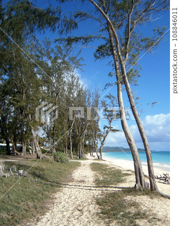 Sand Path on Waimanalo Beach 108846011