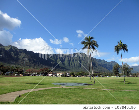 Grassy field  at Waimanalo District Beach Park 108846196