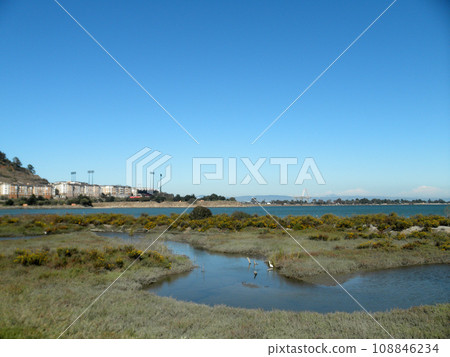Birds rest in waterway at Candlestick Point Birds rest in waterway at Candlestick Point 108846234