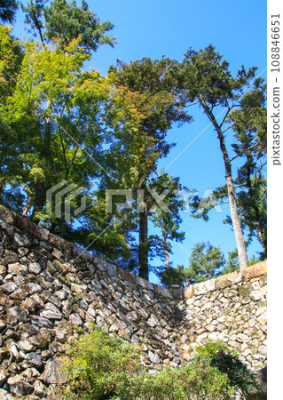 丹波龜山城跡 丹波龜山城跡 108846651