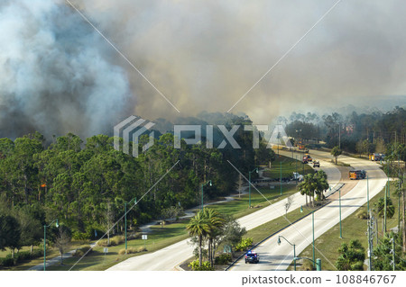 Fire department firetrucks extinguishing wildfire burning severely in Florida jungle woods. Emergency service vehicles trying to put down flames in forest Fire department firetrucks extinguishing wildfire burning severely in Florida jungle woods. Emergency service vehicles trying to put down flames in forest 108846767