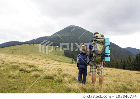 Father and son with backpacks hiking together in summer mountains. Back view of dad and child holding hands on landscape mountain view. Active lifestyle, family relations, weekend activity concept 108846774