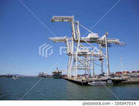 Cargo Cranes in Oakland Harbor 108847014