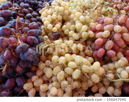Cluster of 3 colors of grapes on open air for sale at an open market Cluster of 3 colors of grapes on open air for sale at an open market 108847046