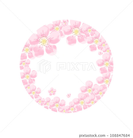 Quince flowers in a circle Quince flowers in a circle 108847684