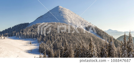 Beautiful winter panorama with fresh snow. Landscape with spruce pine trees, blue sky with sun light and high Carpathian mountains on background. Beautiful winter panorama with fresh snow. Landscape with spruce pine trees, blue sky with sun light and high Carpathian mountains on background. 108847687